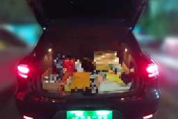 Thumbnail 20