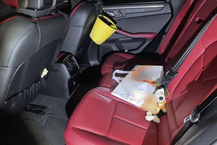 Used Porsche Macan 2022 Macan 2.0T Left Rear Seat