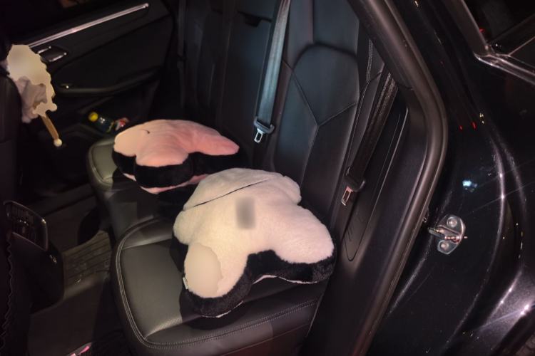 Used Porsche Macan 2022 Macan 2.0T Left Rear Seat