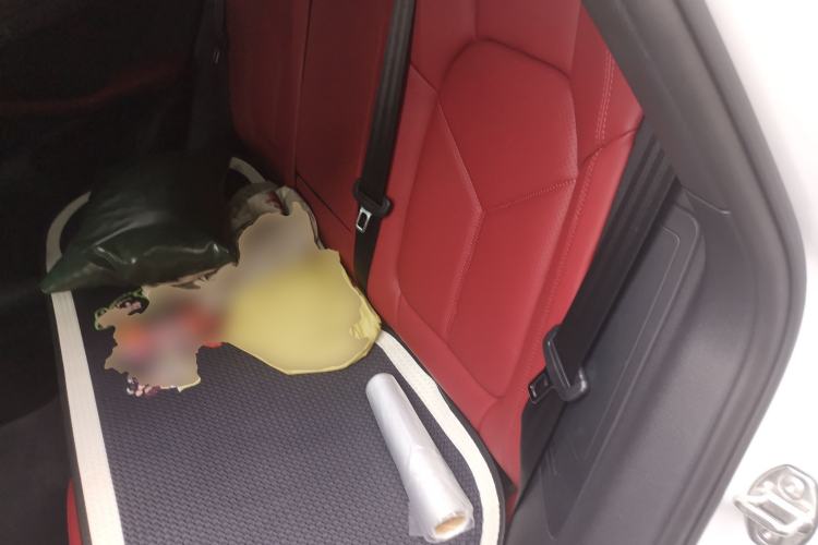 Used Porsche Macan 2024 Macan 2.0T Left Rear Seat