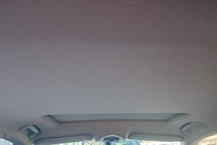 Used Porsche Panamera 2010 Panamera S 4.8L Headliner