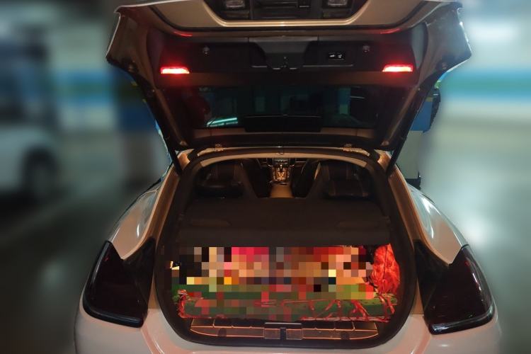 Used Porsche Panamera  Trunk