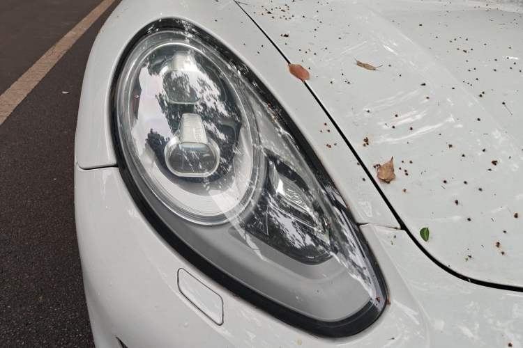 Used Porsche Panamera 2014 Panamera 3.0T Right Front Headlight