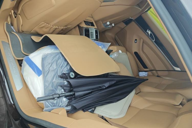 Used Porsche Panamera 2016 Panamera 4 Executive Edition 3.0T Left Rear Seat
