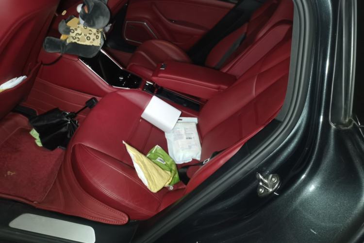 Used Porsche Panamera 2017 Panamera 3.0T Left Rear Seat