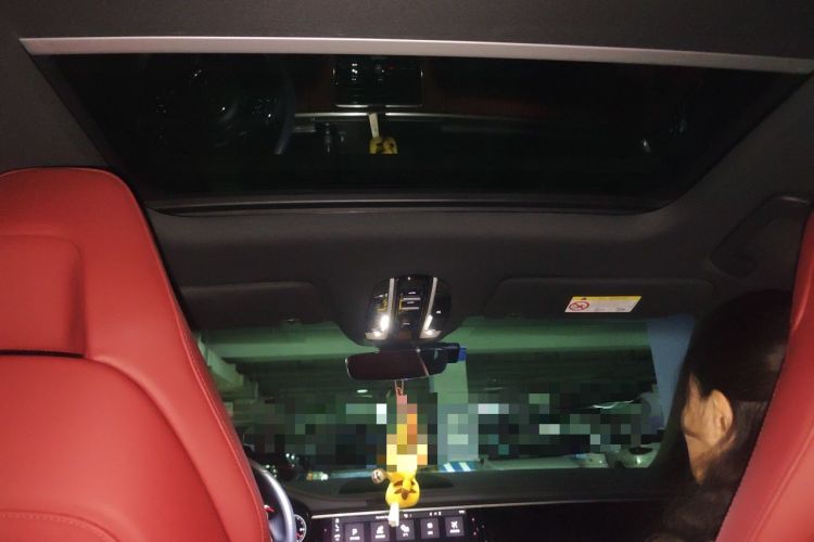 Used Porsche Panamera 2019 Panamera 2.9T Headliner