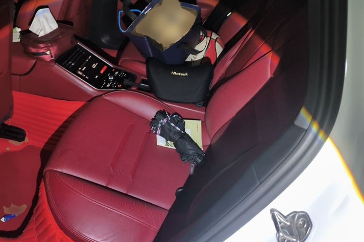 Used Porsche Panamera 2019 Panamera 2.9T Left Rear Seat