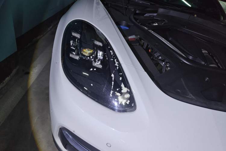 Used Porsche Panamera 2019 Panamera 2.9T Right Front Headlight