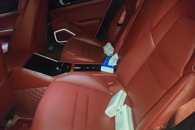 Used Porsche Panamera 2020 Panamera 10th Anniversary Edition 2.9T Left Rear Seat