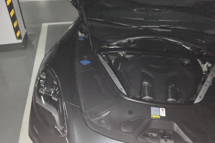 Used Porsche Panamera 2022 Panamera Executive Long Wheelbase Platinum Edition 2.9T Engine Bay Right