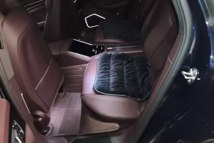 Used Porsche Panamera 2023 Panamera 4 E-Hybrid Platinum Edition 2.9T Left Rear Seat