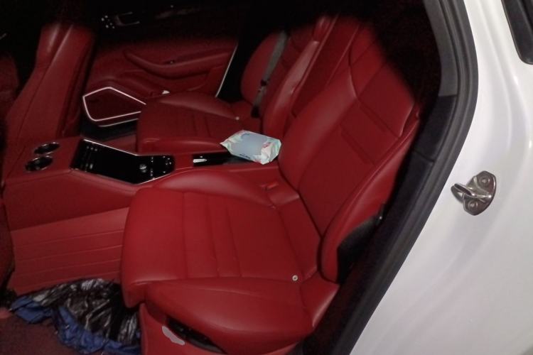 Used Porsche Panamera 2023-Year Restyled Panamera Executive Extended Platinum Edition 2.9T Left Rear Seat