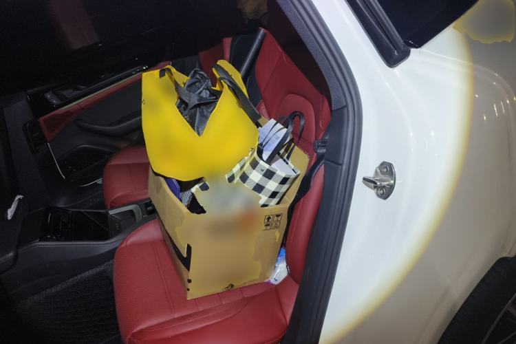 Used Porsche Panamera 2024 Panamera 2.9T Left Rear Seat