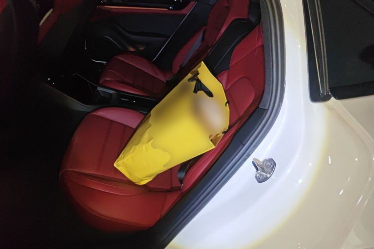 Used Porsche Panamera 2024 Panamera 2.9T Left Rear Seat