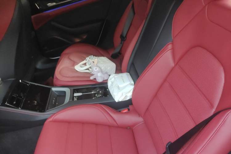 Used Porsche Panamera 2026 Model Panamera Enjoyment Edition 2.9T Left Rear Seat