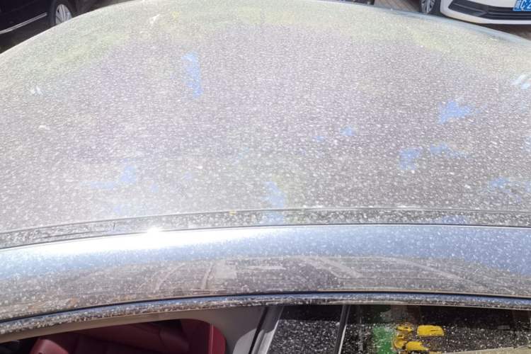 Used Porsche Taycan 2020 Taycan Roof