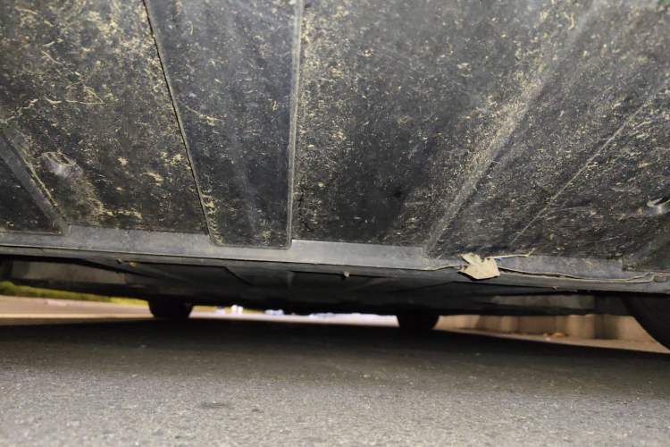 Used Qiantu K50 2018 Standard Model Chassis Rear