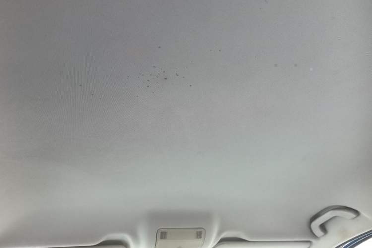Used Qoros 5 2016 1.6T Automatic Comfort Model Headliner