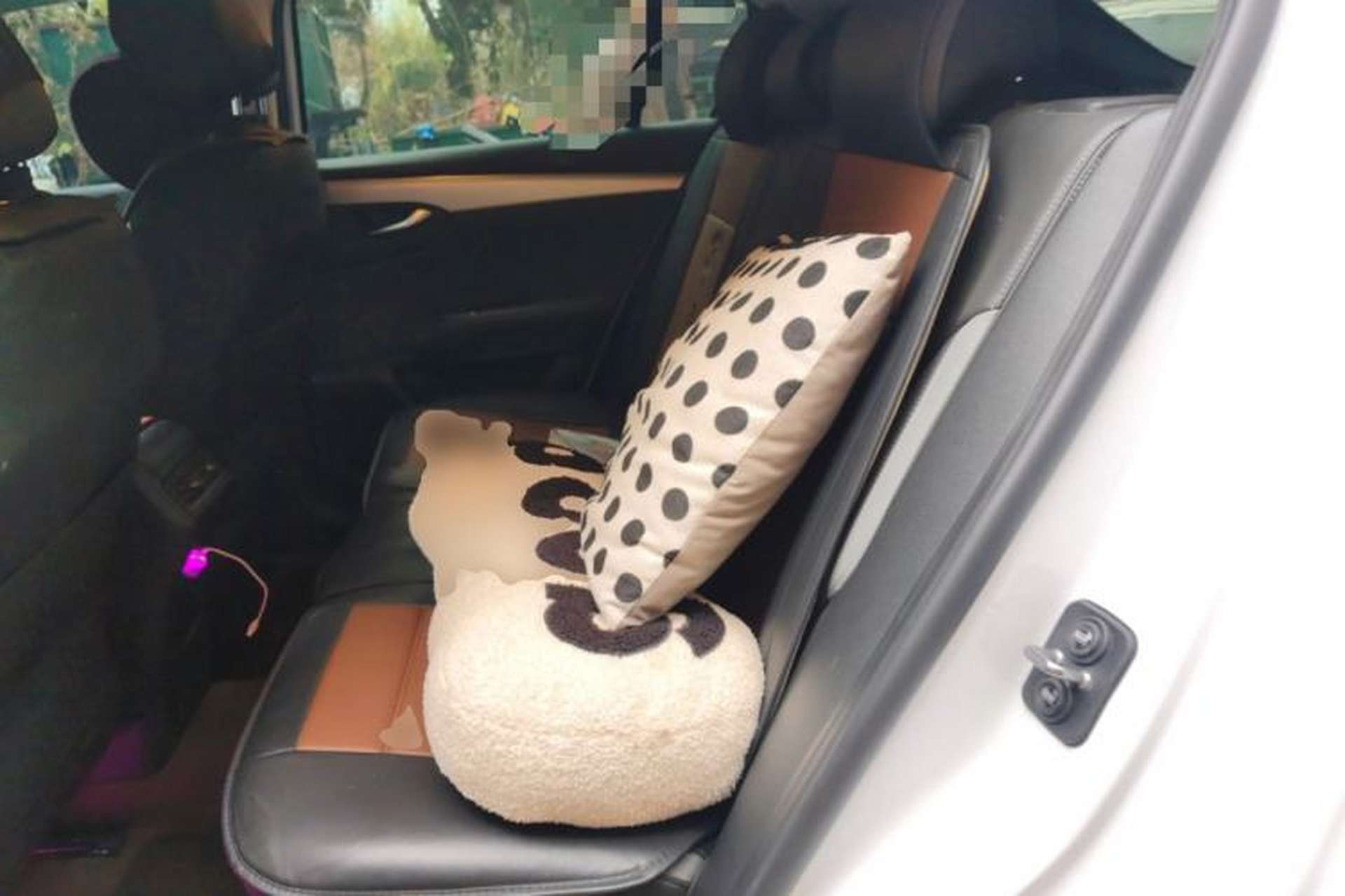 Used Qoros 7 2020 1.8T Cruise Luxury Model Left Rear Seat