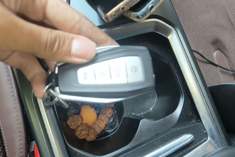 Used Radar Horizon 2023 410 km Entrepreneur Edition Vehicle Key