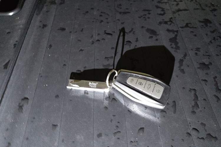 Used Radar Horizon 2023 410 km Entrepreneur Edition Vehicle Key