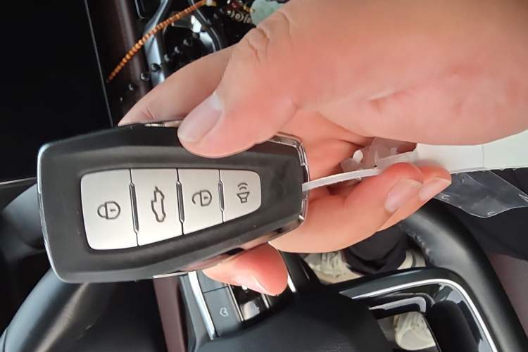 Used Radar Horizon 2023 550 km Creator Edition Vehicle Key