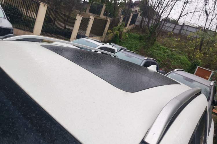Used Radar Horizon 2024 460 km All-Wheel-Drive Max Version Roof