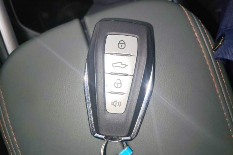 Used Radar Horizon 2024 460 km All-Wheel-Drive Max Version Vehicle Key