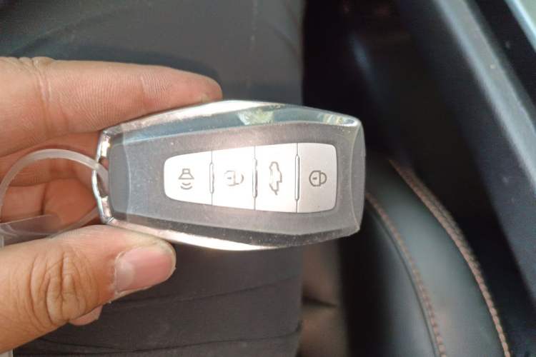 Used Radar Horizon 2024 460 km All-Wheel-Drive Air Version Interior 1