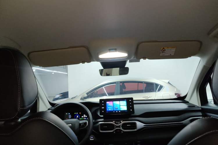 Used Radar King Kong 2025 EM-P Four-Wheel Drive Standard Box – Qianli JinGang Headliner
