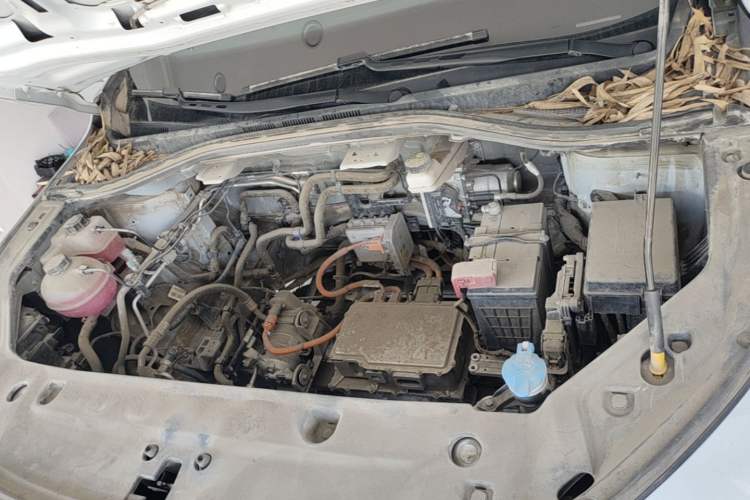 Used Radar King Kong 2025 430 km Two-Wheel Drive Long Bed – Lucky King Engine Bay