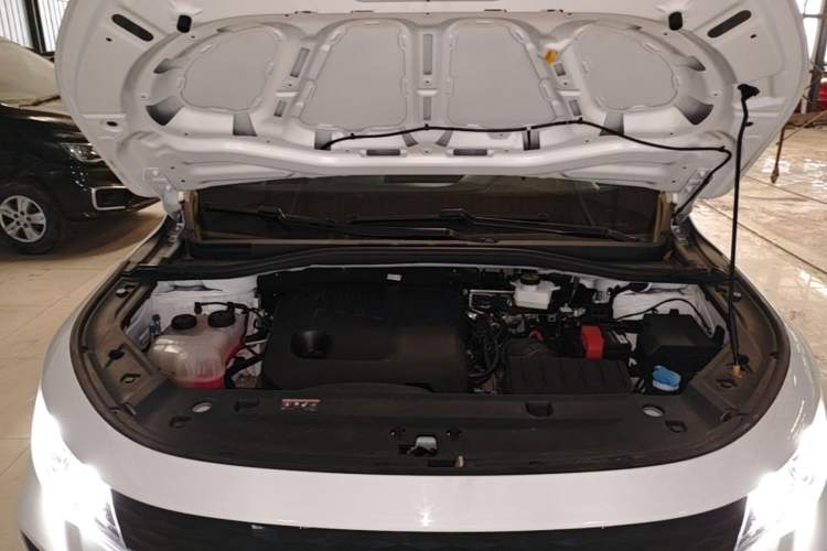 Used Radar King Kong 2025 EM-P Four-Wheel Drive Long-Box "Thousand-Mile Diamond" Engine Bay