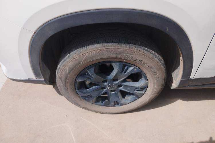 Used Radar King Kong 2025 430 km Two-Wheel Drive Long Bed – Lucky King Exterior 4