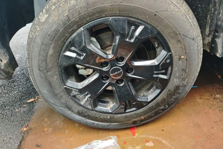 Used Radar King Kong 2025 460 km All-Wheel Drive Long-Box Version – Mighty King Kong Exterior 5