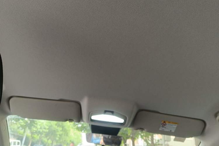 Used Radar King Kong 2025 430 km Two-Wheel Drive Standard Box – Lucky King Headliner