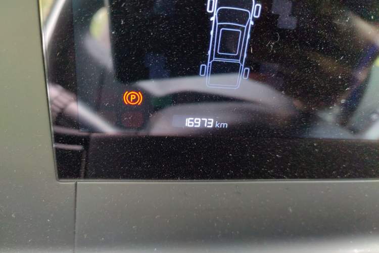 Used Radar King Kong 2025 430 km Two-Wheel Drive Standard Box – Lucky King Odometer Close Up