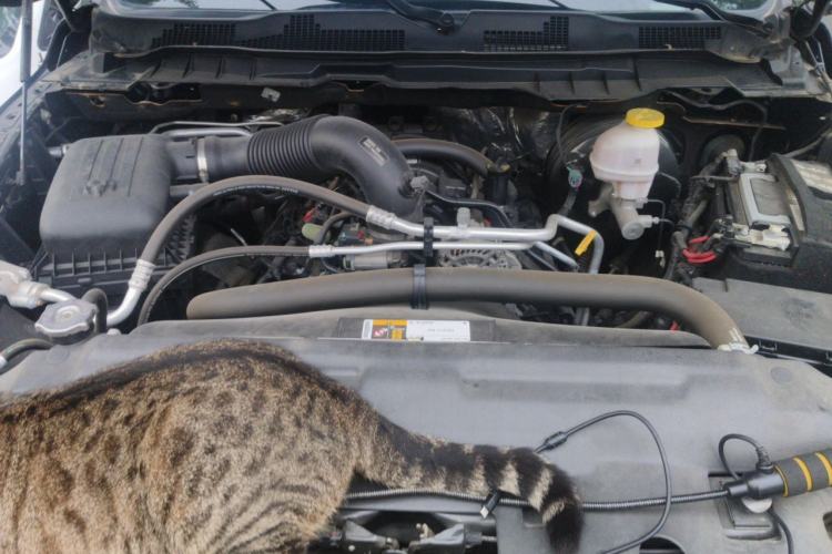 Used RAM Trucks  Engine Bay