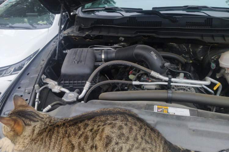 Used RAM Trucks  Engine Bay Right