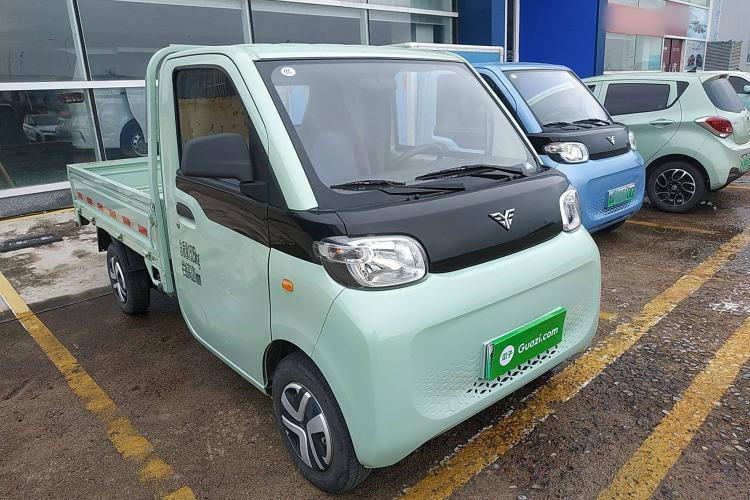 Used REACH MINI Truck 2023 120km Long Wheelbase Flatbed Striving Type Front Right 45 Deg