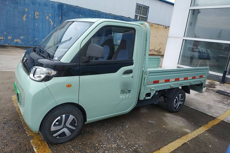 Used REACH MINI Truck 2023 120km Long Wheelbase Flatbed Striving Type Left Side