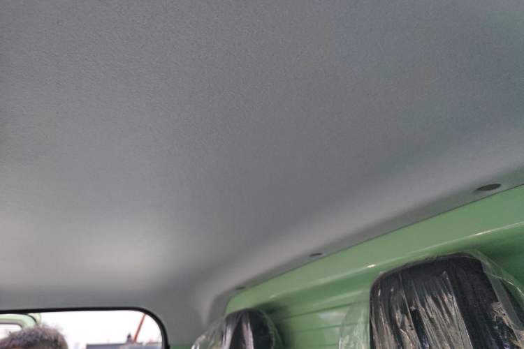 Used REACH MINI Truck 2025 Model 150 km Van—Aggressive Edition Headliner