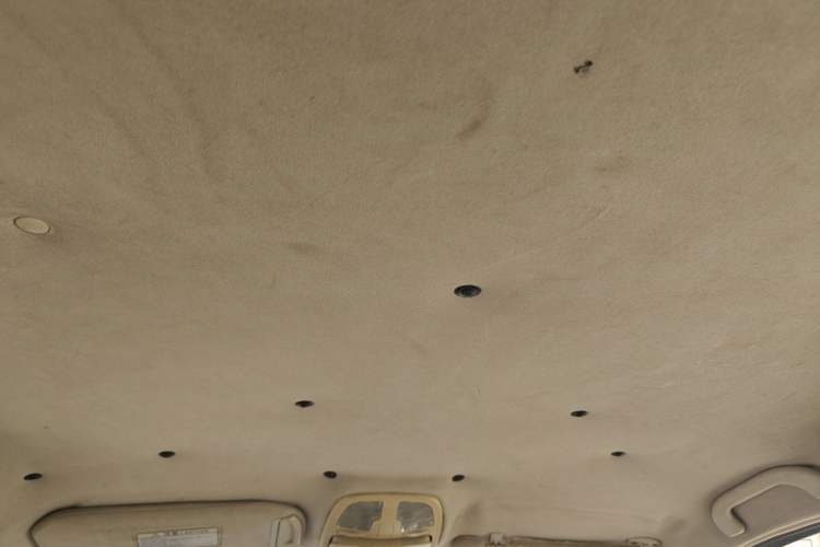 Used RELY V5 2012 1.8L Manual Comfort Version Headliner