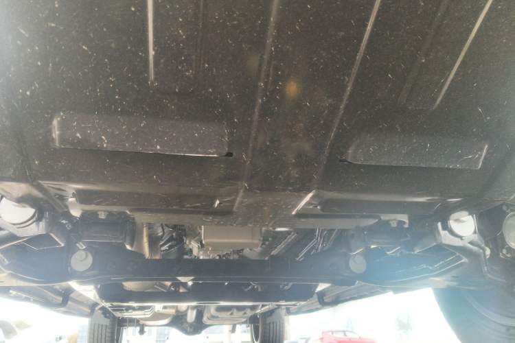 Used RELY Venucia R08 2025 Model 2.3T 6MT 2WD Diesel Long Box Exclusive Edition Chassis Front