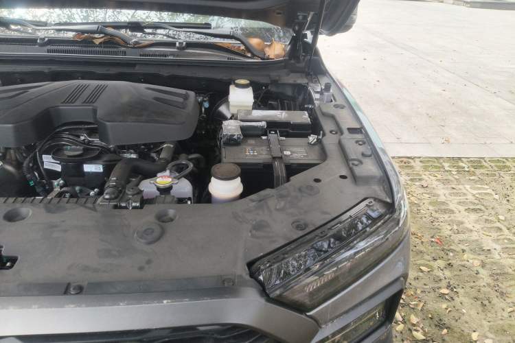 Used RELY Venucia R08 2025 Model 2.3T 6MT 2WD Diesel Long Box Exclusive Edition Engine Bay Left