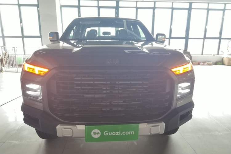 Used RELY Venucia R08 2025 Model 2.3T 8AT 2WD Diesel Long Box Trail Edition Front