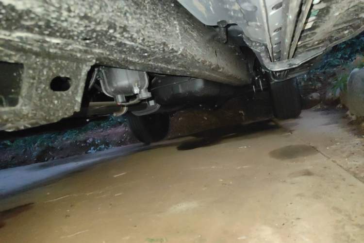 Used RELY Venucia R08 2025 Model 2.3T 8AT 4WD Diesel Long Box Trail Edition Chassis Front Left