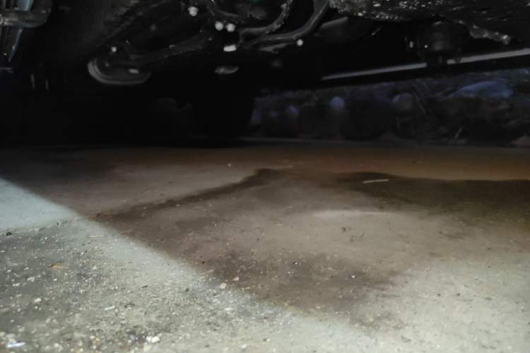 Used RELY Venucia R08 2025 Model 2.3T 8AT 4WD Diesel Long Box Trail Edition Chassis Front Right