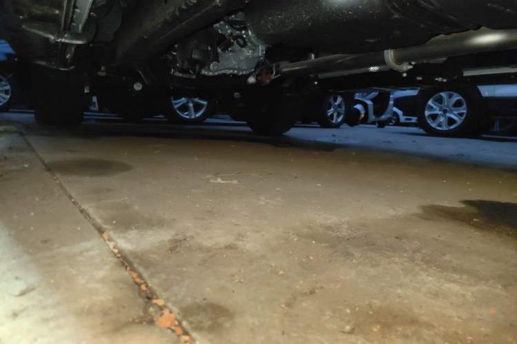 Used RELY Venucia R08 2025 Model 2.3T 8AT 4WD Diesel Long Box Trail Edition Chassis Rear Left