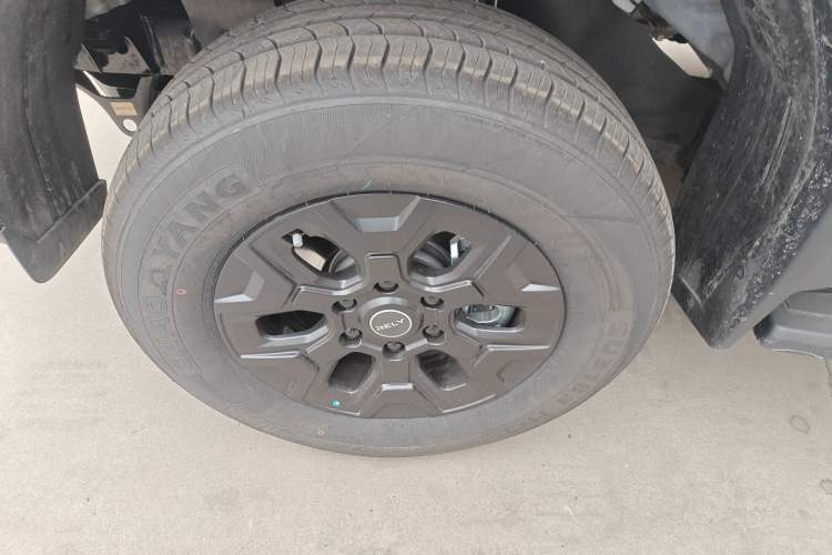 Used RELY Venucia R08 2025 Model 2.3T 6MT 2WD Diesel Long Box Exclusive Edition Exterior 4