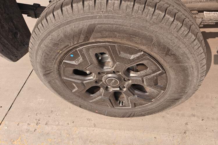 Used RELY Venucia R08 2025 Model 2.3T 8AT 2WD Diesel Long Cab Mountain & Sea Edition Exterior 5